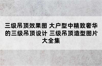 三级吊顶效果图 大户型中精致奢华的三级吊顶设计 三级吊顶造型图片大全集